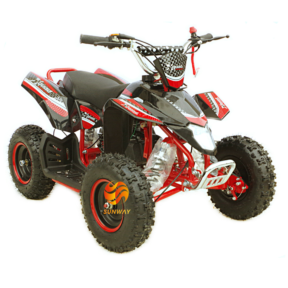 49CC 2-STROKE MINI ATV QUAD BIKE OFF-ROAD BIKE