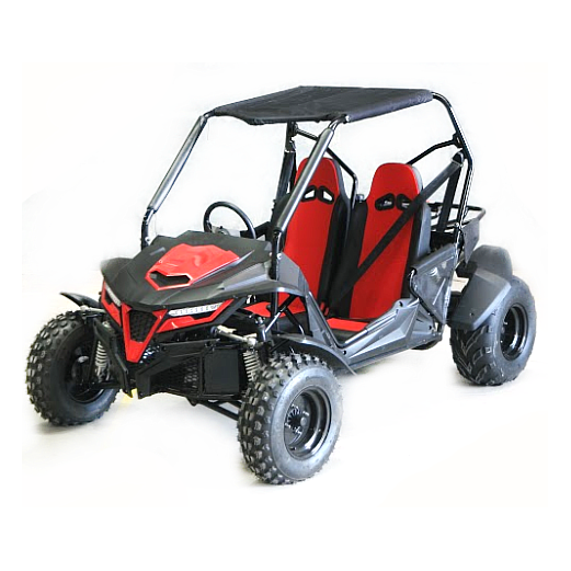 200cc off road buggy