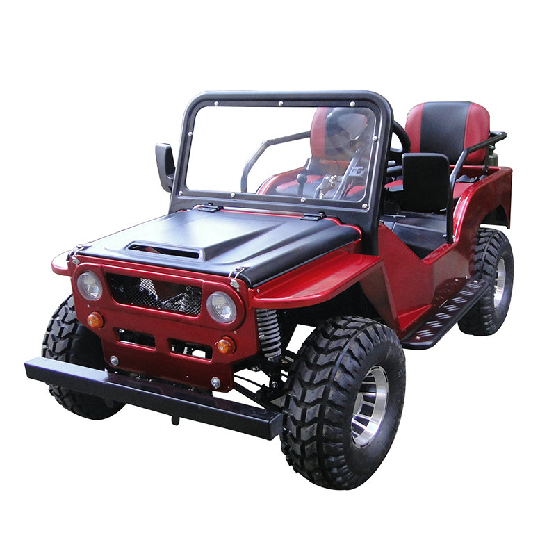 Sunway New Style 110cc/125cc/150cc Go Kart Buggy Mini Jeep