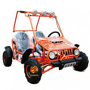 110cc 125cc Buggy Go Kart for Kids and Teenager With CE