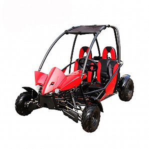 New generation automatic 110cc gas safety 2 seat racing petrol go karts for sale