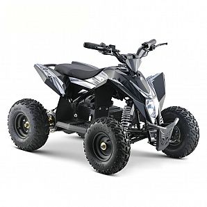 Sunway 36V 1000W Electric ATV Quad Bike for Kids