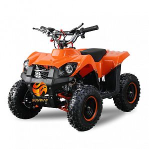 New Model Mini Quad ATV 2-Stroke 49CC for Kids