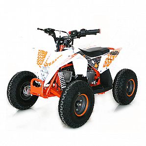 Sunway 110cc ATV 4-Stroke Air Cooled Quad Bike 4x2 for Childern