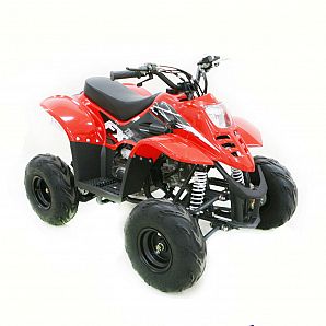 Sunway Mini 110CC ATV Quad Bike ,4-Stroke,1-Cylinder,Air cooled