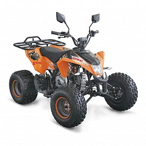 Sunway 50cc Mini ATV Quad Bike 4-Stroke,1-Cylinder,Air Cooled