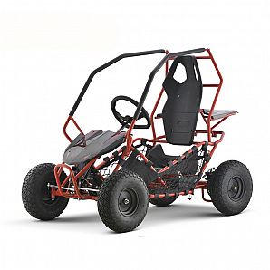 Sunway 2019 500W 36v Kids Electric Go Karts ,Buggy