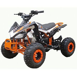 Sunway 110cc ATV 4-Stroke Air Cooled Sports Quad ATVs