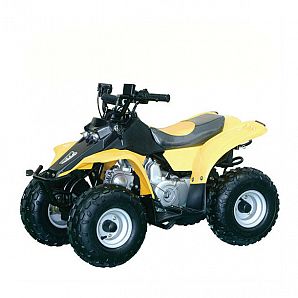 Sunway 110CC Mini ATV Quad Sports for Kids