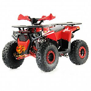 New Model 125CC ATVs Air Colling 4-Stroke 3+1 Gear Electric Start With Reverse for Kids