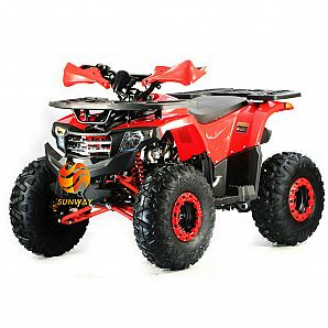New Model 125CC ATVs Air Colling 4-Stroke 3+1 Gear LED Running Lights Electric Start With Reverse for Kids