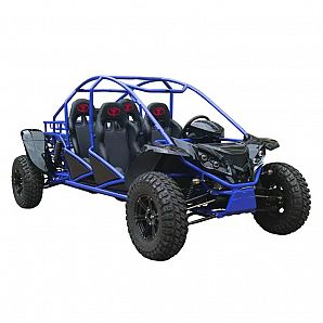 Sunway Off-Road Series 1500CC 140Nm 80KW Buggy Go Kart