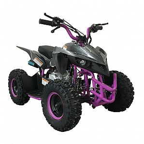 Sunway New Model Mini Quad ATV 60CC 4-Stroke for Kids